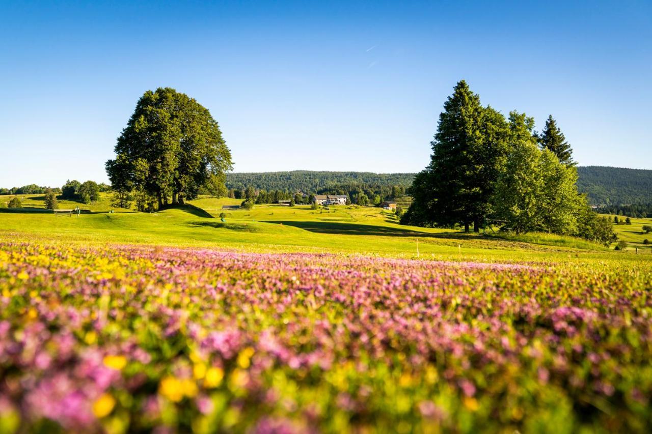 Domaine Du Mont-Saint-Jean Les Rousses Exterior foto